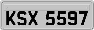 KSX5597