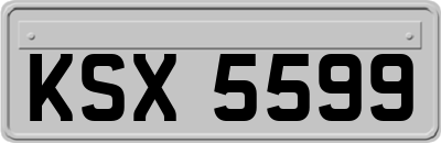 KSX5599
