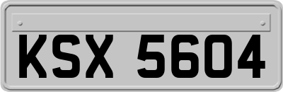 KSX5604