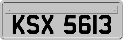 KSX5613