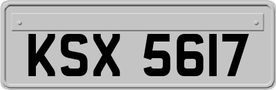 KSX5617