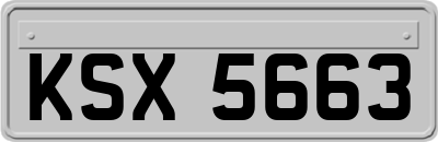KSX5663