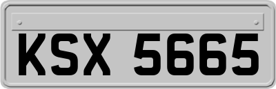 KSX5665