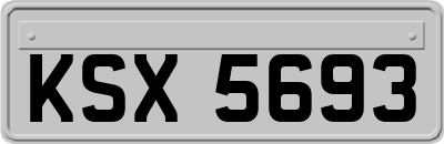 KSX5693