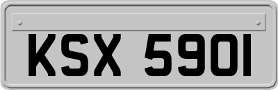 KSX5901