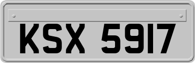 KSX5917