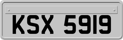 KSX5919