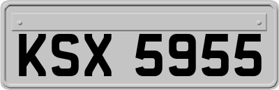 KSX5955