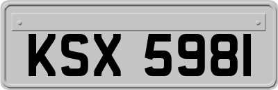 KSX5981