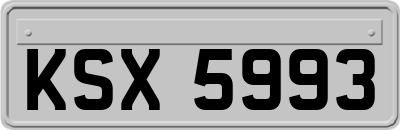 KSX5993