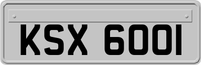 KSX6001