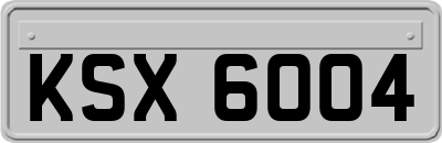 KSX6004
