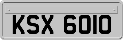 KSX6010