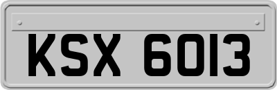KSX6013