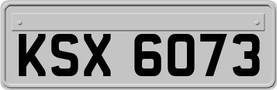 KSX6073