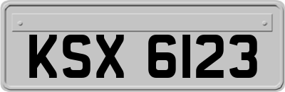 KSX6123