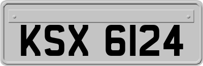 KSX6124