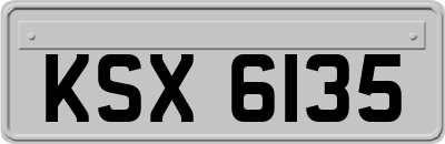 KSX6135