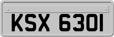 KSX6301