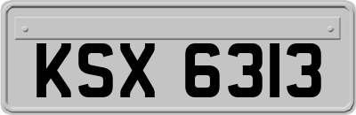 KSX6313
