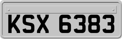 KSX6383