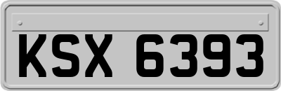KSX6393