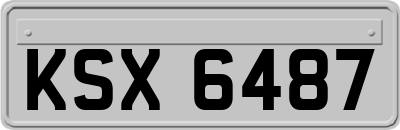 KSX6487