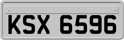KSX6596