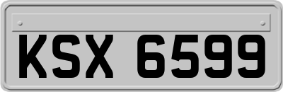 KSX6599