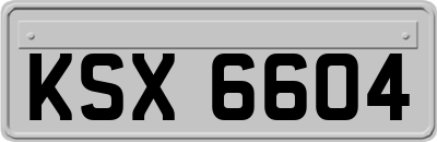 KSX6604