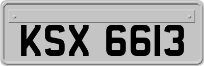 KSX6613