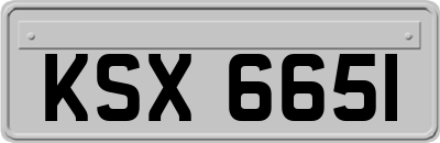 KSX6651