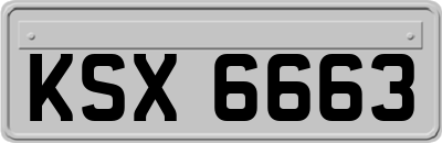 KSX6663