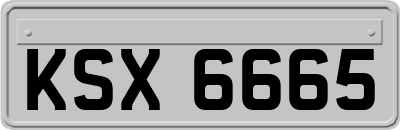 KSX6665