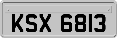 KSX6813