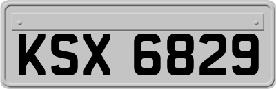KSX6829