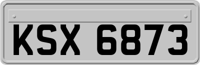 KSX6873