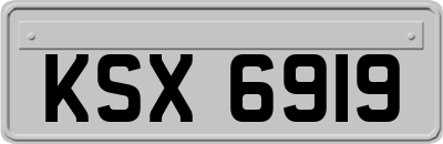KSX6919