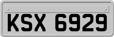 KSX6929