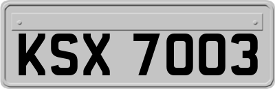 KSX7003