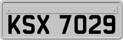 KSX7029