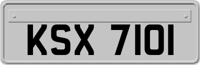 KSX7101