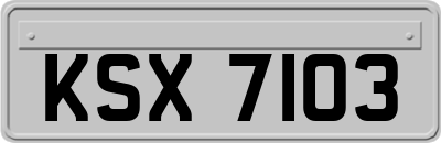 KSX7103