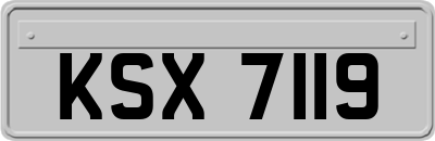 KSX7119