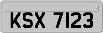 KSX7123