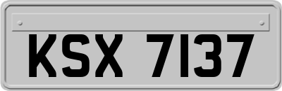 KSX7137