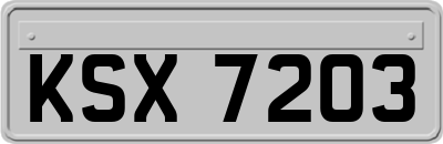 KSX7203