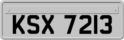 KSX7213
