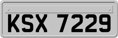 KSX7229