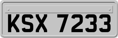 KSX7233